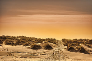 Der Weg zum Strand