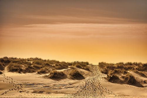Het pad naar het strand