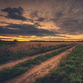 Chemin de terre au coucher du soleil sur Skyze Photography by André Stein