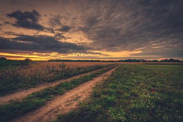 Veldweg in de zonsondergang van Skyze Photography by André Stein