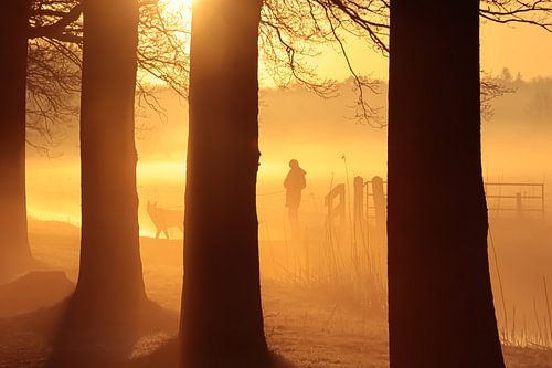 The Man and The Dog At Dawn
