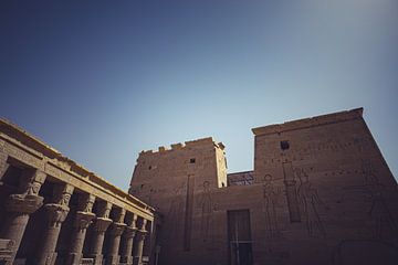 The Temples of Egypt 21 by FotoDennis.com | Werk op de Muur