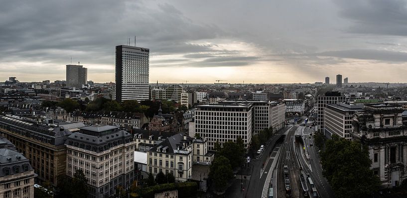 Aerial view over Brussel by Werner Lerooy