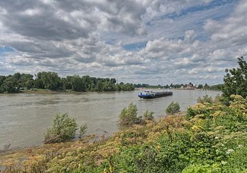 de Rijn bij Düsseldorf-Benrath van Peter Eckert