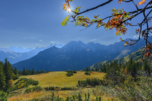 Une tranquillité dorée dans les Alpes de l'Allgäu
