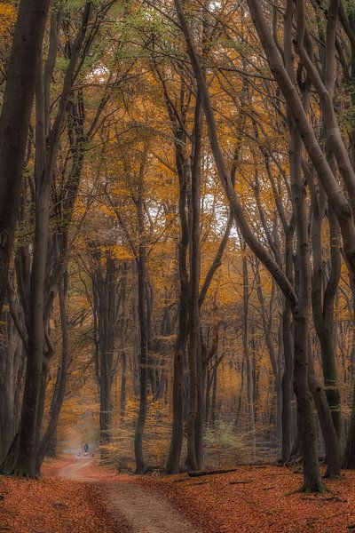 Autumn by Moetwil en van Dijk - Fotografie