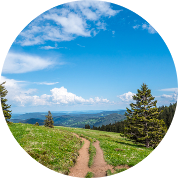 Uitzicht vanaf de Feldberg in het Zwarte Woud van Animaflora PicsStock