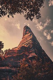 Canyon Felsen Landschaft in Bad Schandau von Jakob Baranowski - Photography - Video - Photoshop