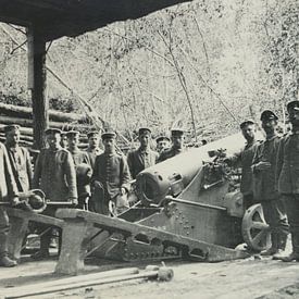 Eerste Wereldoorlog Kanon Geweer Soldaten van Michael Godlewski