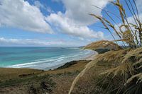 La côte néo-zélandaise avec un ciel bleu et des nuages