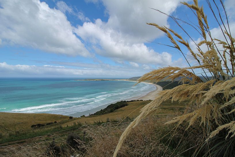 New Zeeland kust met blauwe lucht en wolken van Marco Leeggangers