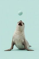 Seal looking at blue ball on light blue background