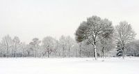 Mooie winter scene na sneeuwval - sneeuwlandschap van Chihong thumbnail