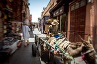 Streets off Marrakech by Julian Buijzen thumbnail