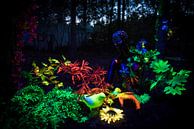 Schwarzlicht-Kunstwerk während des Mandala-Festivals von Chris Heijmans Miniaturansicht