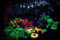 Blacklight kunstwerk tijdens Mandala Festival