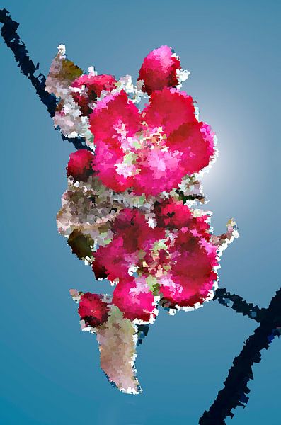 Blüte eines Zierapfels von Leopold Brix