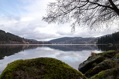 Réflexion dans le Lac de Gérardmer