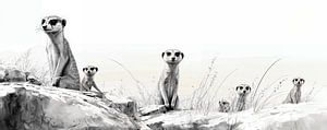 Erdmännchen | Erdmännchen