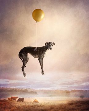 Balloon flight by Nuelle Flipse