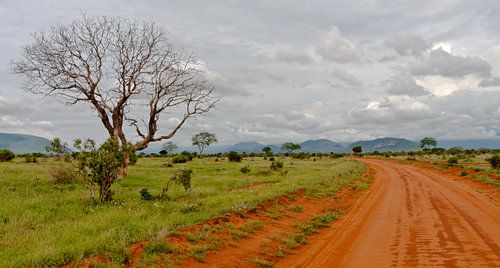 Red Road