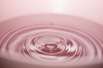 Kringen in roze water von Joost Prins Photograhy