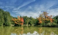 Vijver in het natuurreservaat Ohligser Heide van Peter Eckert thumbnail