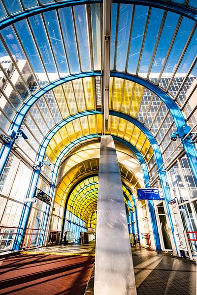 Nelson Mandela Bridge Zoetermeer 2020 by Frank Slaghuis