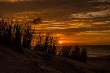 Sonnenuntergang Nordsee Port Zélande von Marcel Timmer