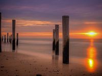 Palendorp, Petten.