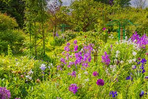 Frühling in den Gärten von Claude Monet, Giverny, Frankreich