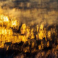 Sun water