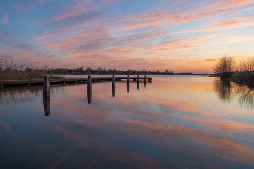 Reed Puddle, Emmen sur Rene Mensen