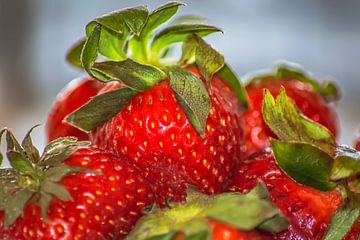 Vruchten : Aardbeien van Michael Nägele