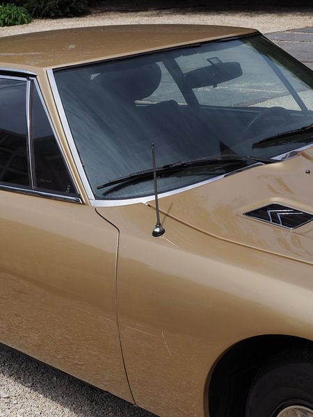 Quand la vie vous donne Citroën par Stephan Smit