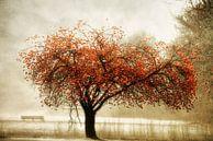 Resting on my Knees van Lars van de Goor thumbnail