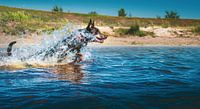 Run through the water