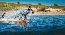 Durch das Wasser laufen von Marinus Engbers