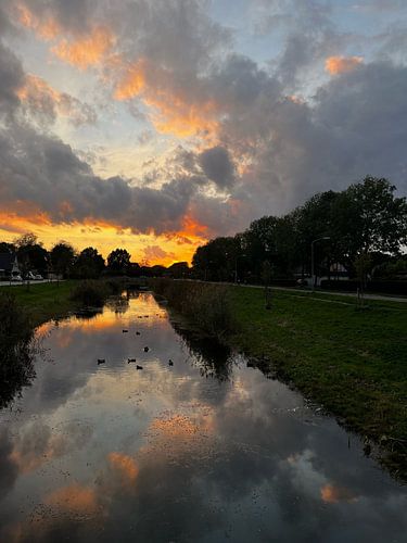 Magnifique coucher de soleil à Zeewolde