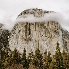 Yosemite - Nationalpark USA - Halbkuppel von Roxanne Danckers
