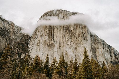 Yosemite - national park USA - Half Dome