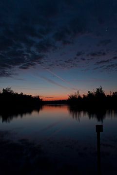 Biesbosch, ochtend van joas wilzing