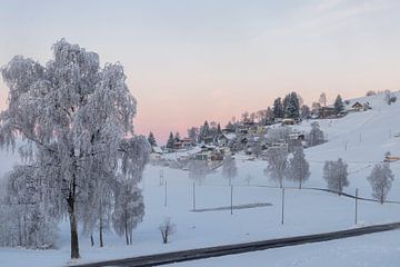 Zonsopkomst in het Zwitserse Winter Wonderland van Franca Gielen