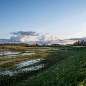 Landschap omgeving Zwolle van S van Wezep