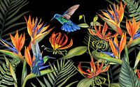 Tropical flowers hummingbirds