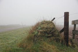 Texel Landschap 045 von Starworks / Lien van der Star