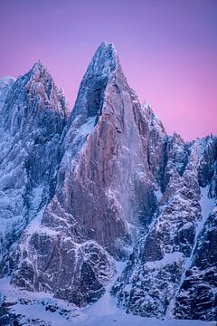 Purple Drus von KSB Photography