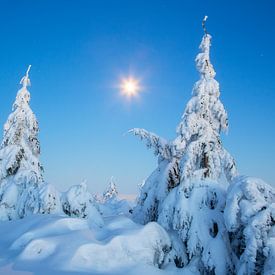 Wintermond überm verschneiten Erzgebirge von Daniela Beyer