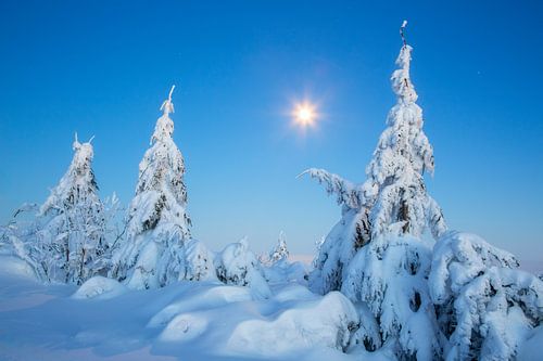 Wintermond überm verschneiten Erzgebirge von Daniela Beyer