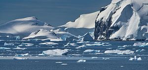 Lente in Antarctica van Kai Müller